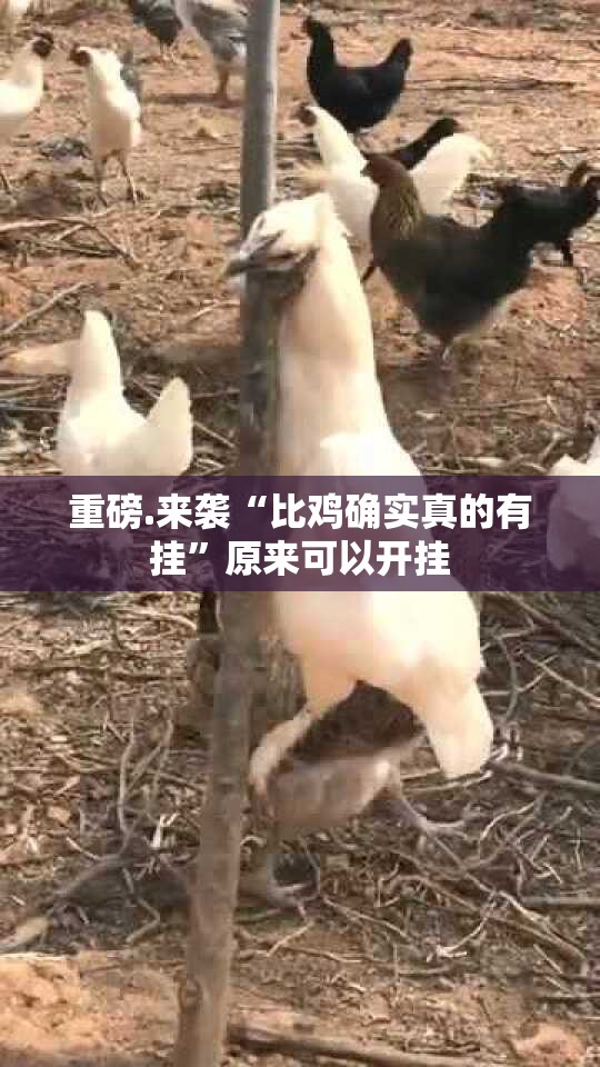 重大通报友愉棋牌有开挂辅助软件吗开挂神器
