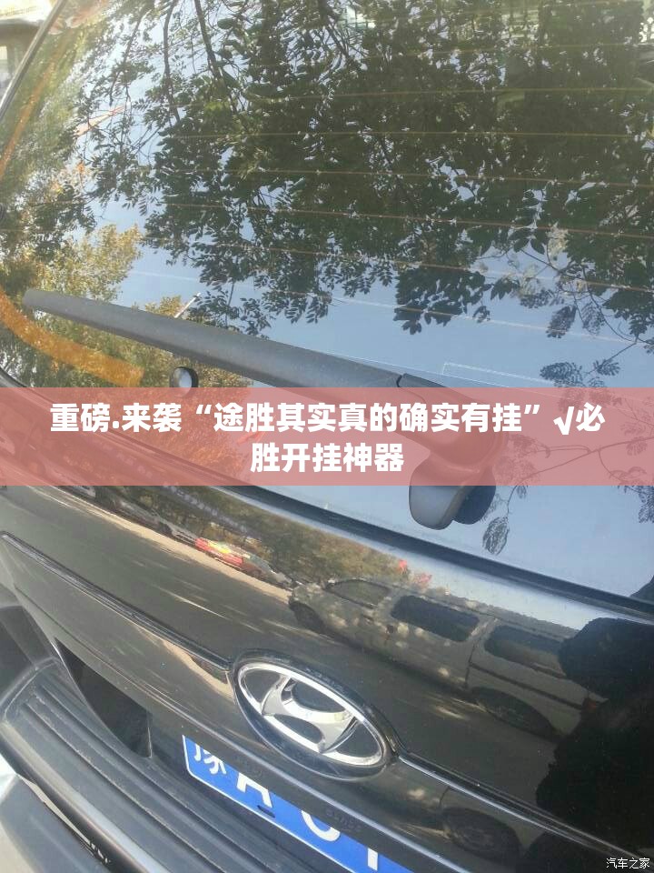 重磅.来袭“途胜其实真的确实有挂”√必胜开挂神器