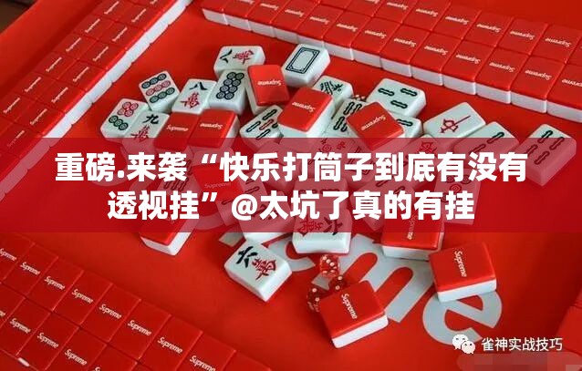 重磅.来袭“快乐打筒子到底有没有透视挂”@太坑了真的有挂