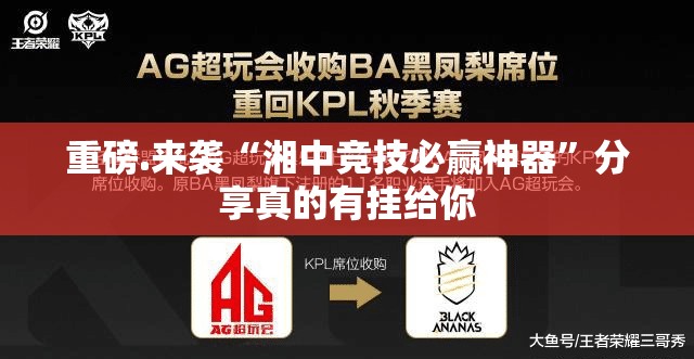 重磅.来袭家乡大贰开挂怎么使用的分享真的有挂给你