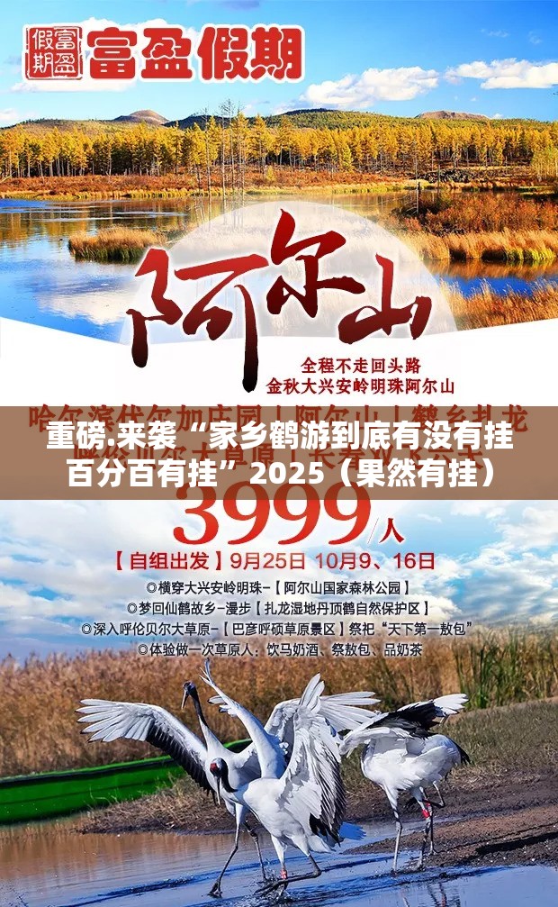 重磅.来袭“家乡鹤游到底有没有挂百分百有挂”2025（果然有挂）