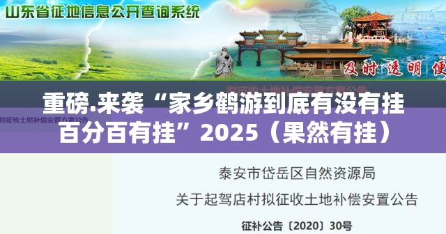 重磅.来袭“家乡鹤游到底有没有挂百分百有挂”2025（果然有挂）