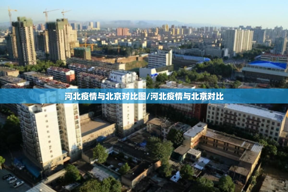 重磅.来袭柚子联盟有挂是真的√其实是有挂 重磅.来袭柚子联盟有挂是真的√其实是有挂