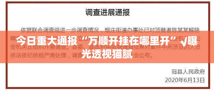 今日重大通报“万顺开挂在哪里开”√曝光透视猫腻