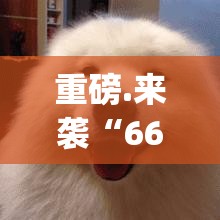 重大通报“镇雄关春天外卦神器是真的吗”2025(果然有挂) 重大通报“镇雄关春天外卦神器是真的吗”2025(果然有挂)