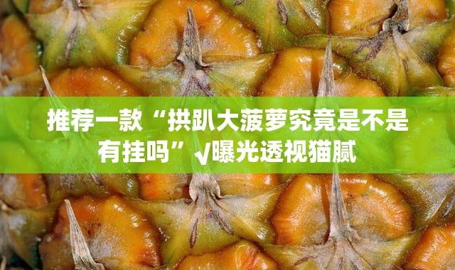 重磅.来袭百乐盟原来确实有挂√确实真的有挂