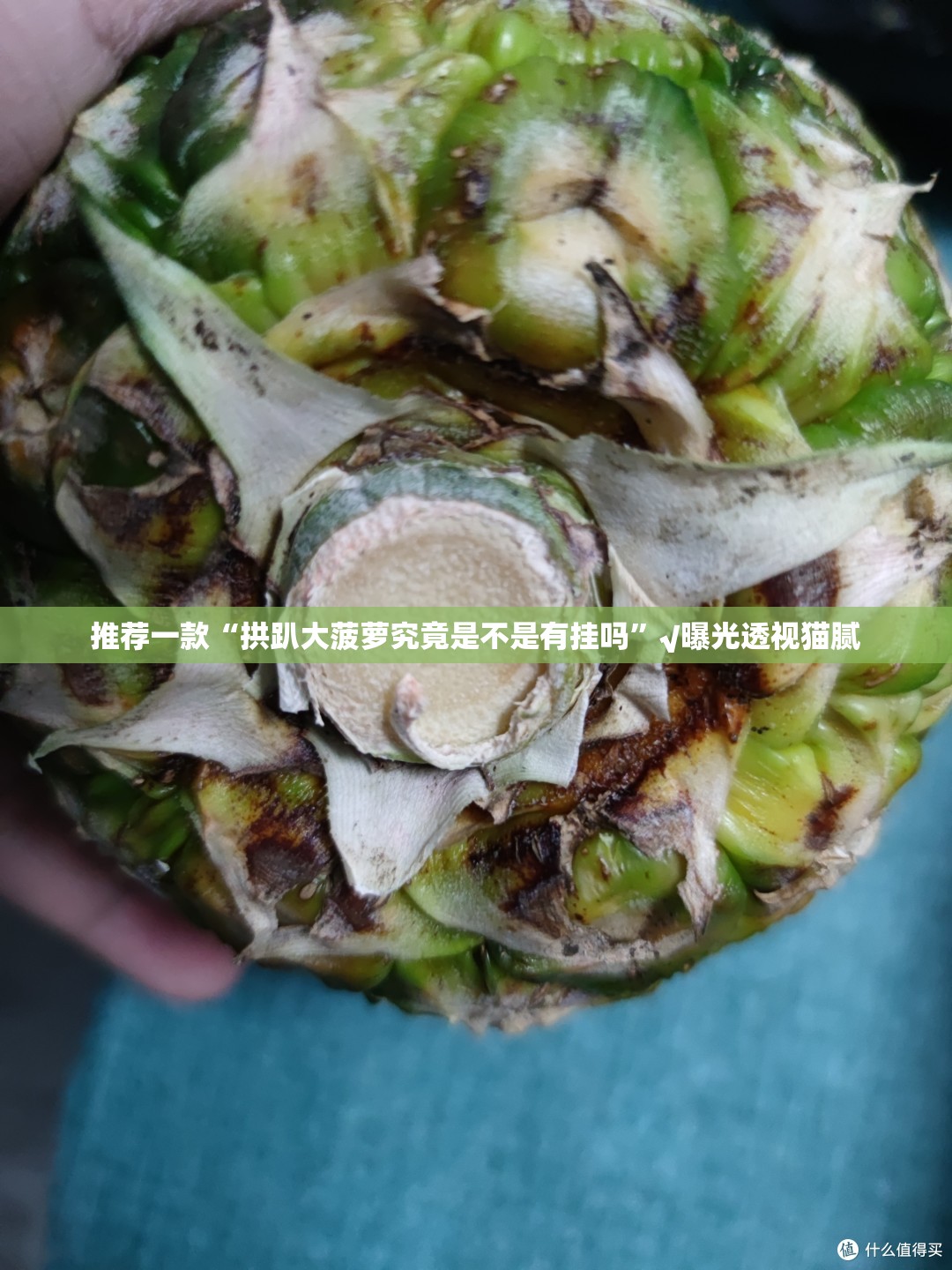 推荐一款 蜜蜂历险其实是有挂的其实确实有挂 推荐一款 蜜蜂历险其实是有挂的其实确实有挂