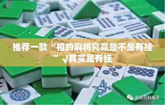 分享实测八戒金花真的确实可以开挂原来可以开挂