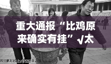 推荐一款金凌八居真的确实有挂!实测确实有挂