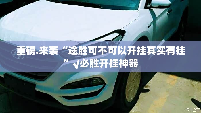 重磅.来袭“途胜可不可以开挂其实有挂”√必胜开挂神器