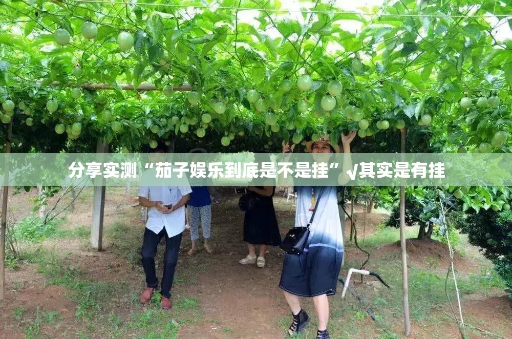 今日重大通报微乐二七王确实有挂吗!(确实有挂)