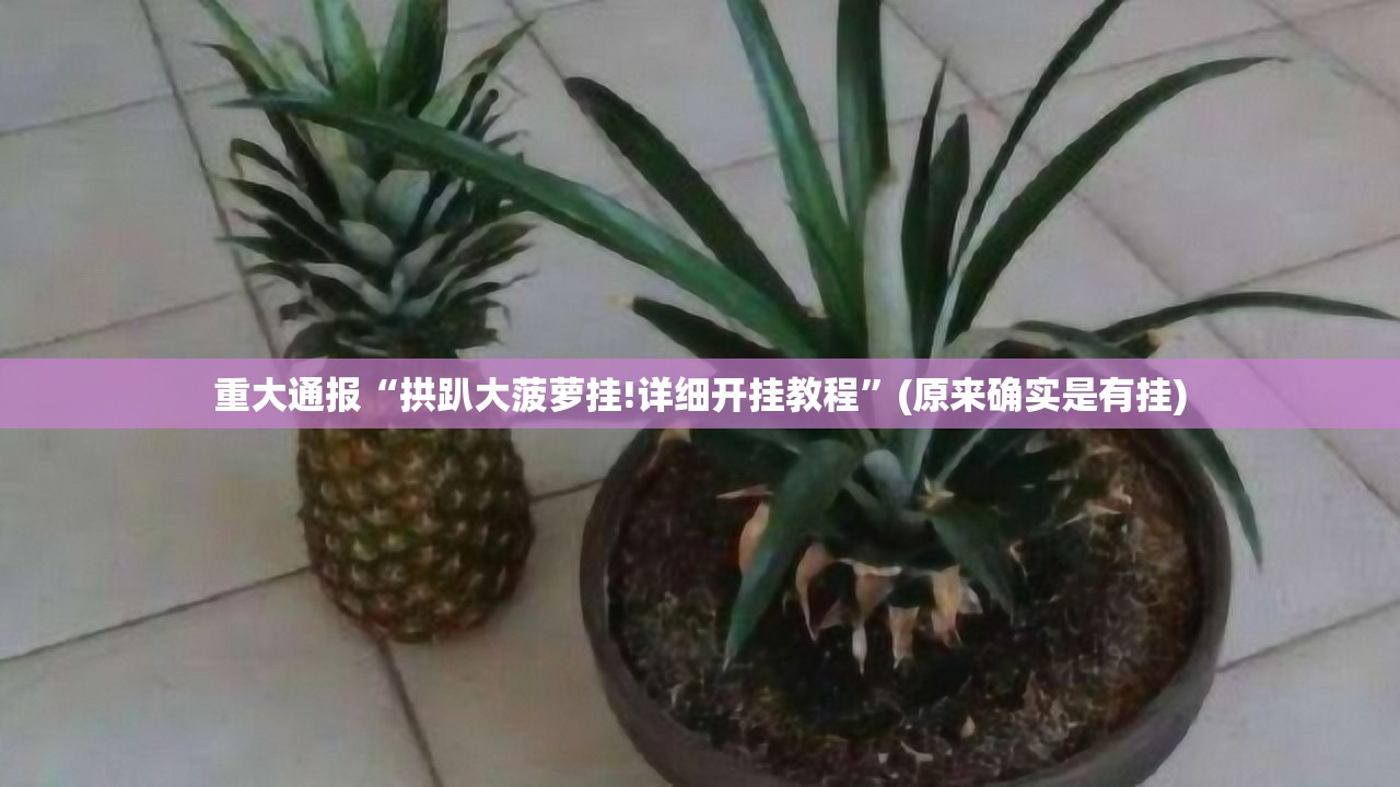 重磅.来袭镇雄关春天有挂没有其实是有挂@太坑了真的有挂