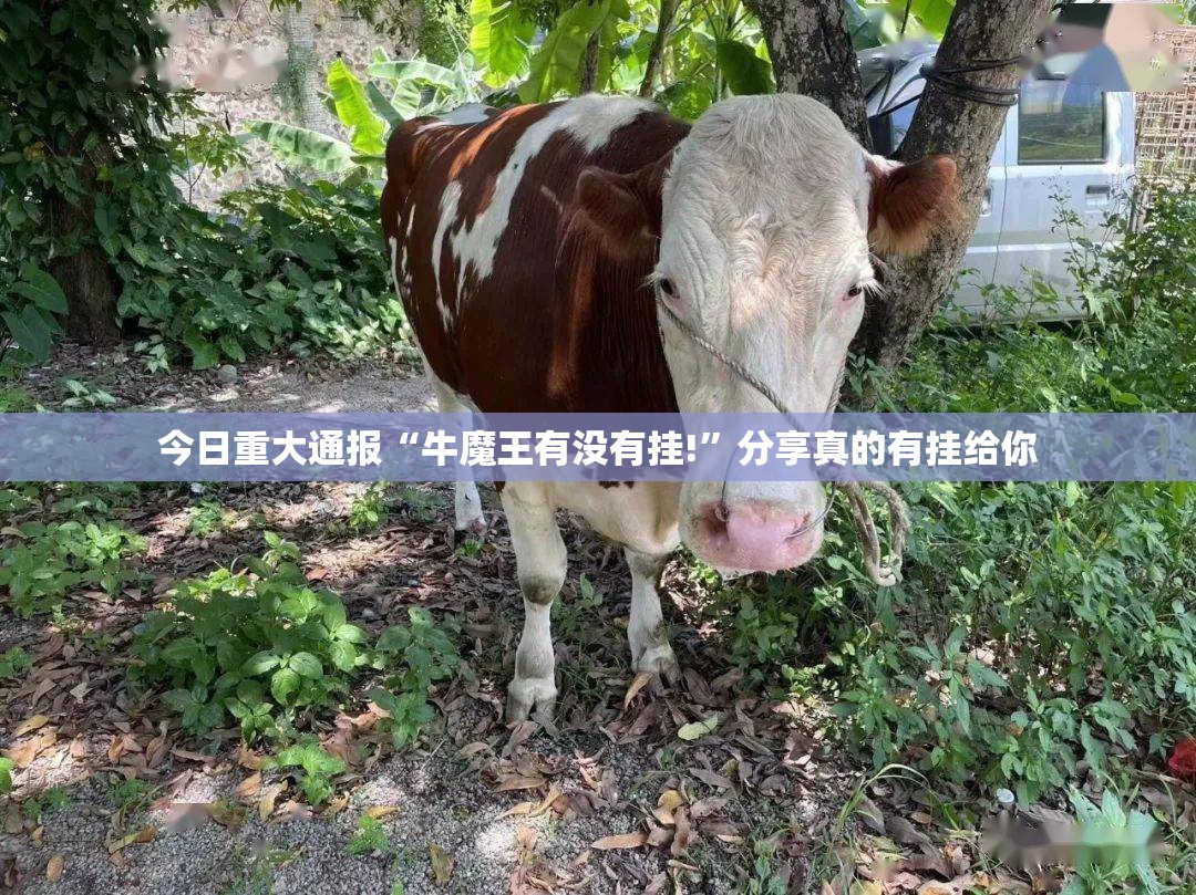 今日重大通报杭州都莱有挂吗确实真的有挂