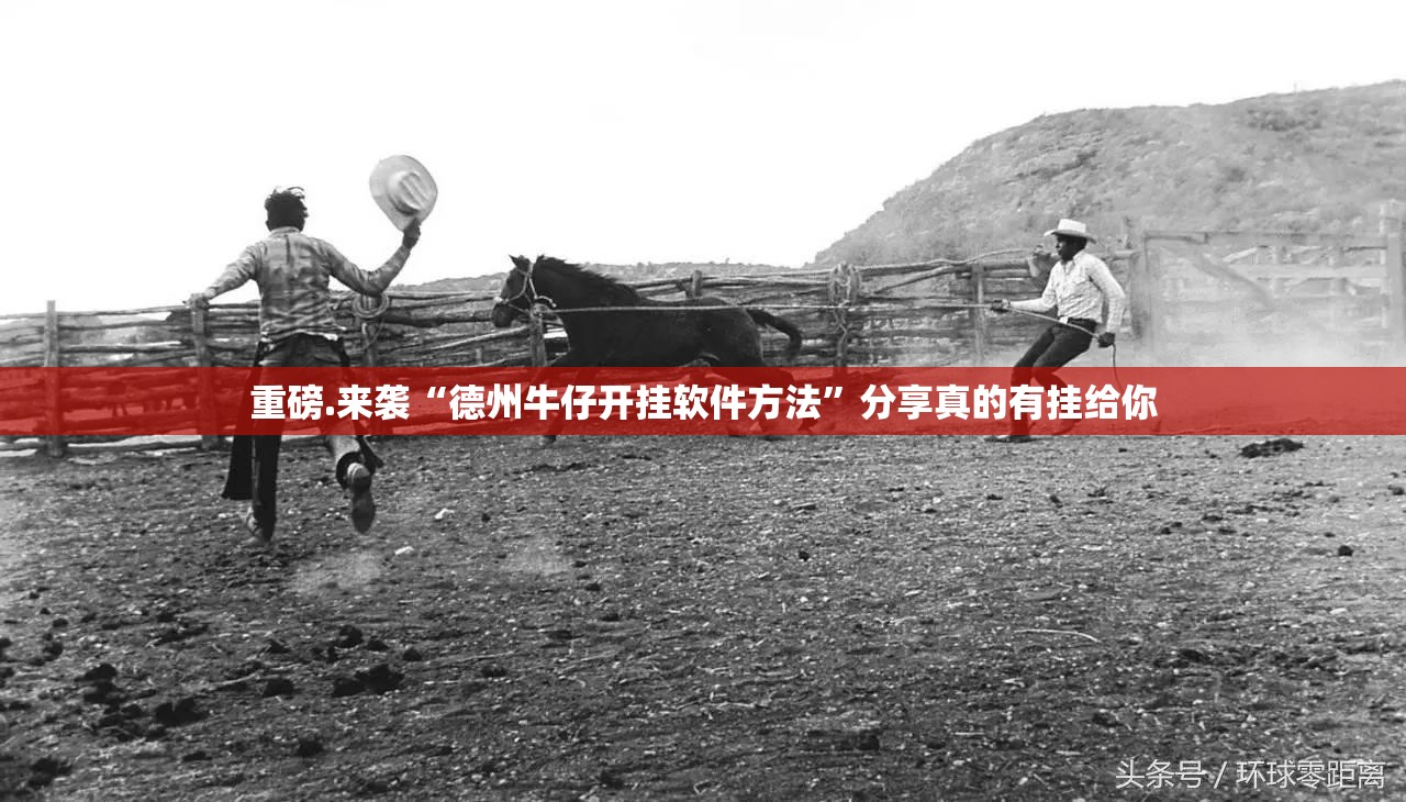 重磅.来袭“德州牛仔开挂软件方法”分享真的有挂给你