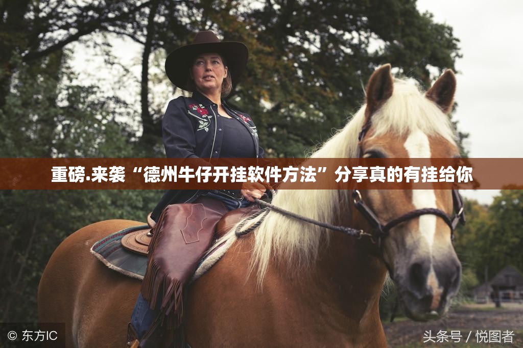 重磅.来袭“德州牛仔开挂软件方法”分享真的有挂给你