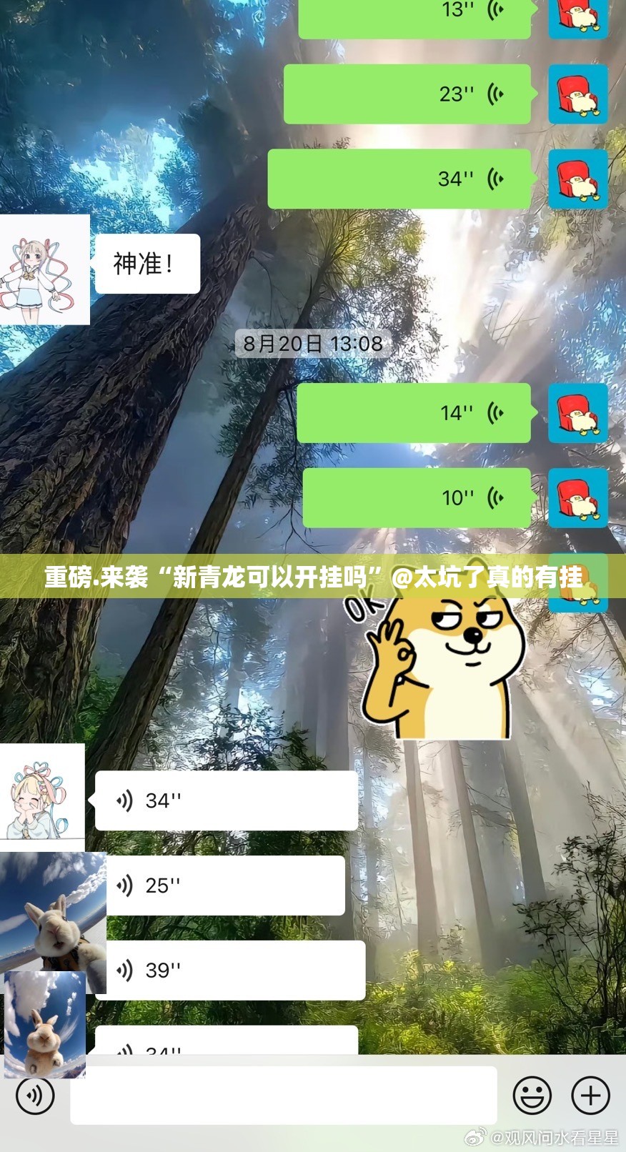 重磅.来袭“新青龙可以开挂吗”@太坑了真的有挂