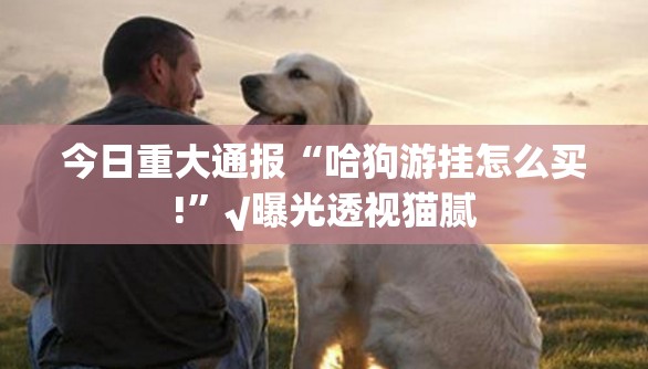 今日重大通报微乐四川麻将其实能开挂分享真的有挂给你 今日重大通报微乐四川麻将其实能开挂分享真的有挂给你