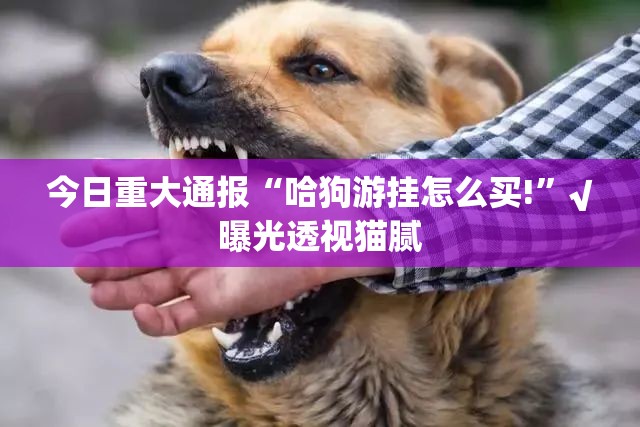 今日重大通报玉海楼茶苑怎么开挂!详细开挂教程原来真可以开挂 今日重大通报玉海楼茶苑怎么开挂!详细开挂教程原来真可以开挂