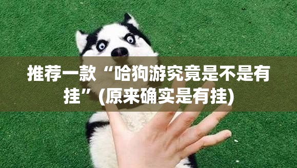 推荐一款“哈狗游究竟是不是有挂”(原来确实是有挂)