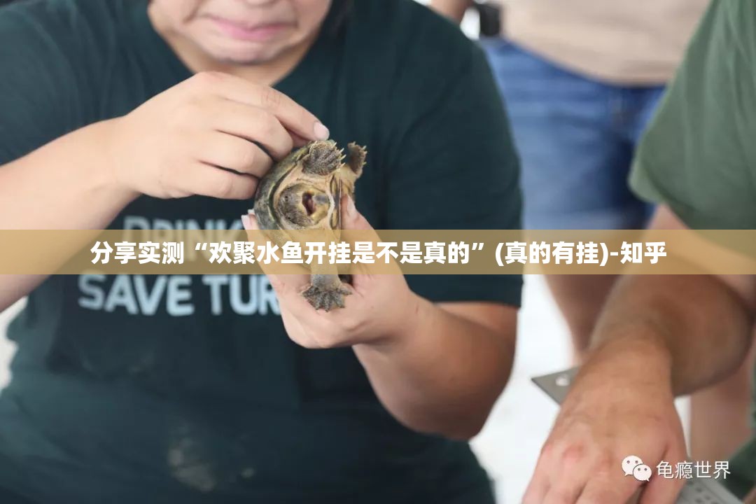 推荐一款“鲨鱼扑克到底有挂吗”√曝光透视猫腻 推荐一款“鲨鱼扑克到底有挂吗”√曝光透视猫腻