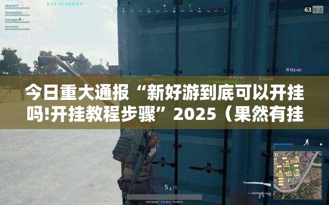 今日重大通报“新好游到底可以开挂吗!开挂教程步骤”2025（果然有挂）