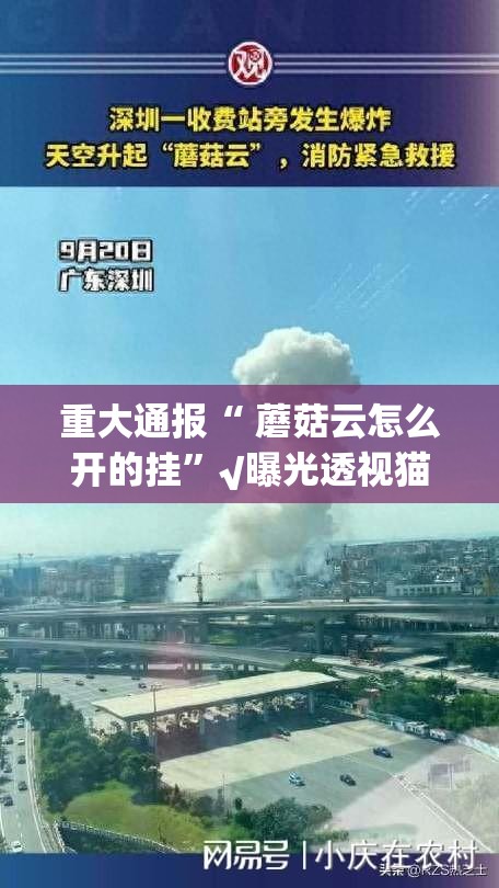 重磅.来袭掼蛋到底有没有挂可以装(原来确实是有挂) 重磅.来袭掼蛋到底有没有挂可以装(原来确实是有挂)