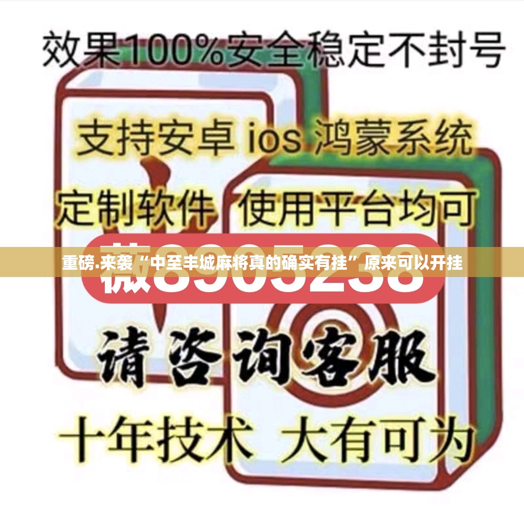 重磅.来袭“中至丰城麻将真的确实有挂”原来可以开挂