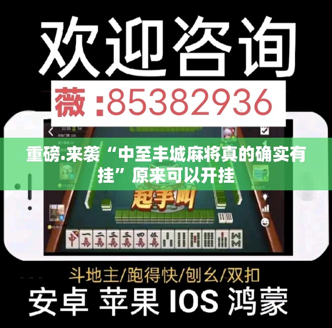 重磅.来袭“中至丰城麻将真的确实有挂”原来可以开挂