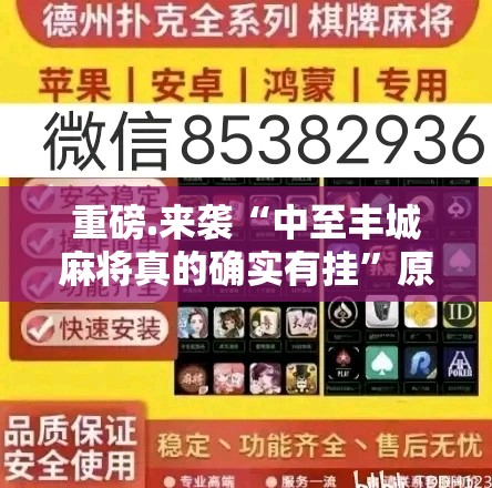 重磅.来袭“中至丰城麻将真的确实有挂”原来可以开挂