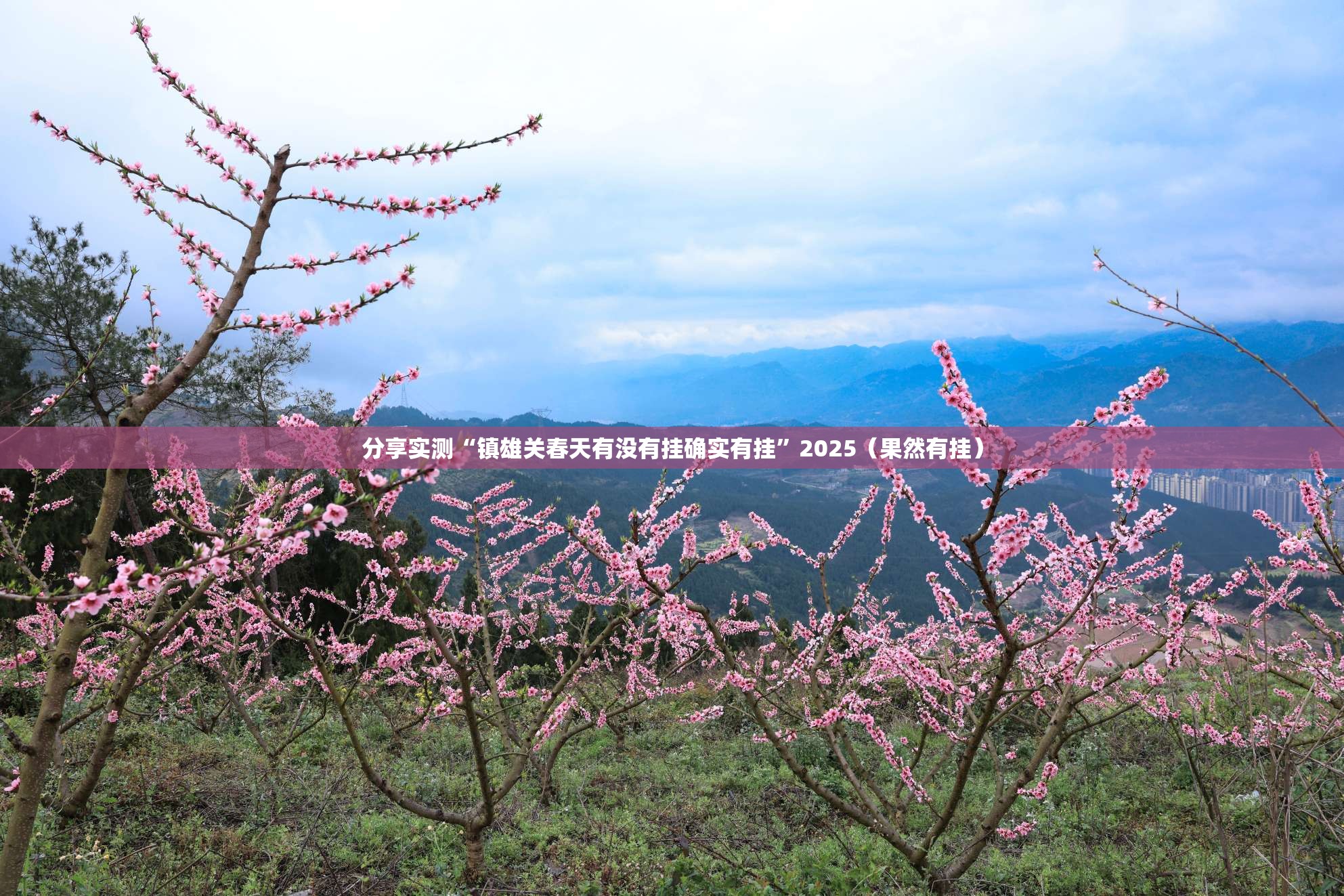 分享实测“镇雄关春天有没有挂确实有挂”2025（果然有挂）