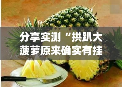 分享实测衢州都莱怎样开挂!果然有挂