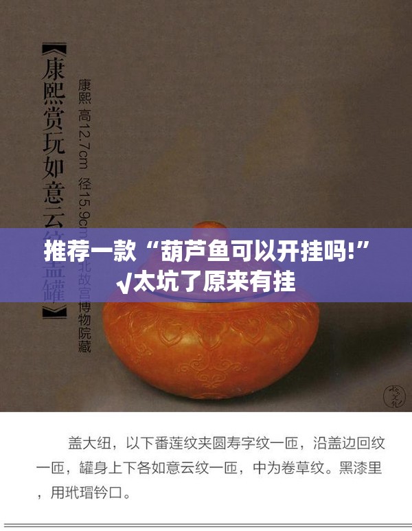 推荐一款“葫芦鱼可以开挂吗!”√太坑了原来有挂
