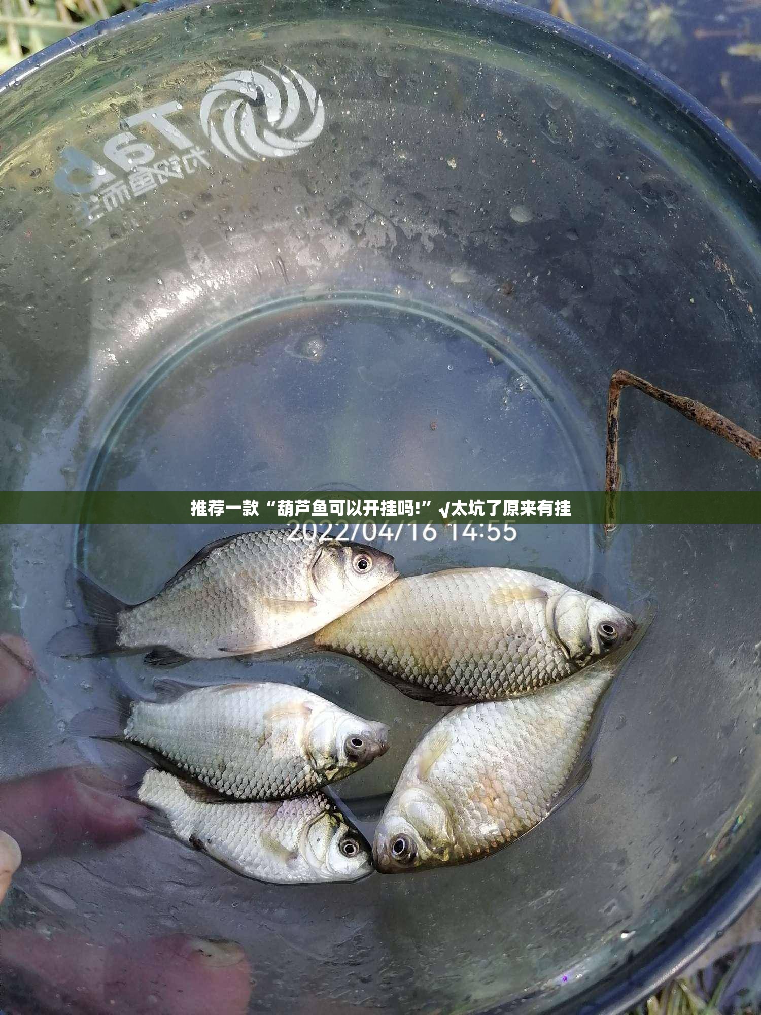 推荐一款金牛有没有透视挂(原来确实是有挂)