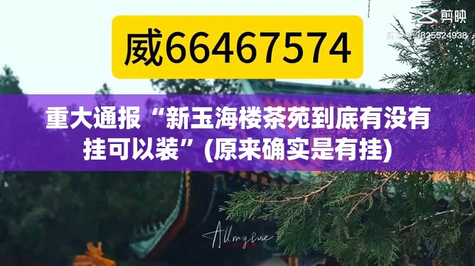 重大通报“新玉海楼茶苑到底有没有挂可以装”(原来确实是有挂)