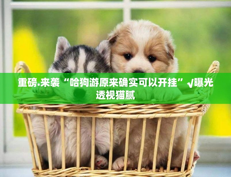 武汉疫情物资短缺原因/武汉疫情物资短缺 武汉疫情物资短缺原因/武汉疫情物资短缺