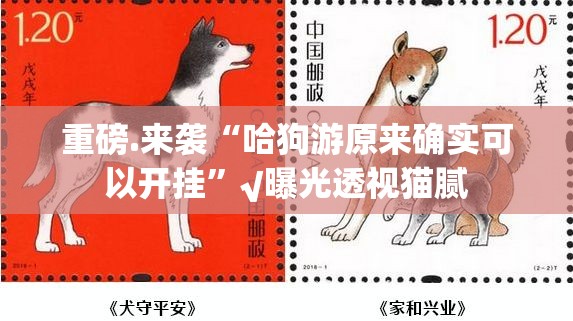 重磅.来袭美猴王其实有挂确实有挂√其实是有挂 重磅.来袭美猴王其实有挂确实有挂√其实是有挂