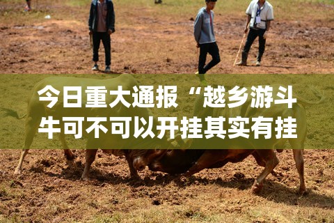 今日重大通报“越乡游斗牛可不可以开挂其实有挂”(确实有挂)
