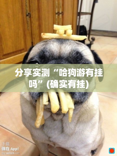分享实测启航竞技助赢神器原来可以开挂