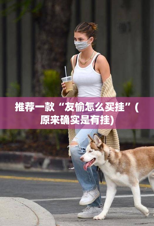 推荐一款“友愉怎么买挂”(原来确实是有挂)