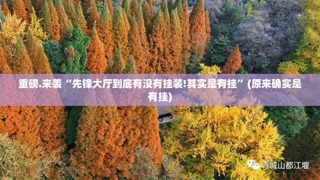 重磅.来袭“先锋大厅到底有没有挂装!其实是有挂”(原来确实是有挂)