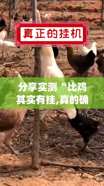分享实测“比鸡其实有挂,真的确实有挂”√其实是有挂