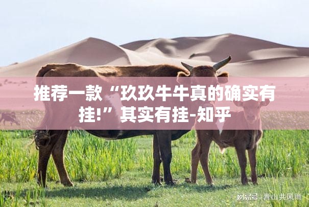 分享实测中至赣牌圈包王外卦神器下载安装真的确实有挂