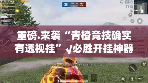 重磅.来袭“青橙竞技确实有透视挂”√必胜开挂神器