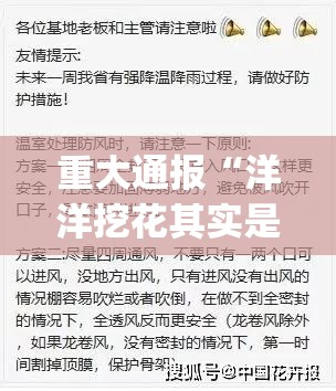 重磅.来袭盛世2有没有辅助 √必胜开挂神器 重磅.来袭盛世2有没有辅助 √必胜开挂神器