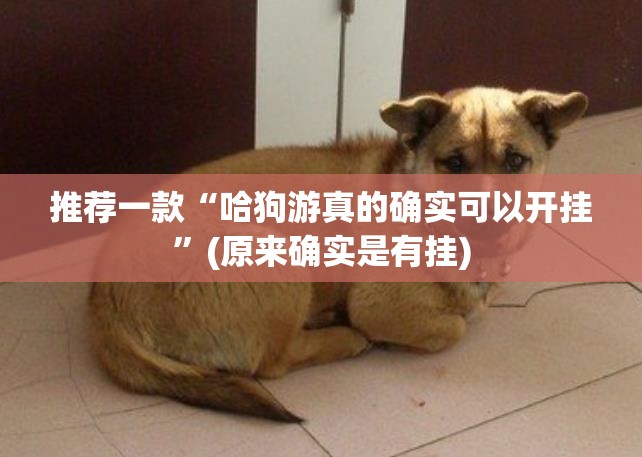 今日重大通报经典联盟到底有没有挂装!其实是有挂√确实真的有挂