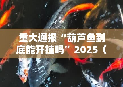 重大通报汕尾联友助赢神器原来可以开挂