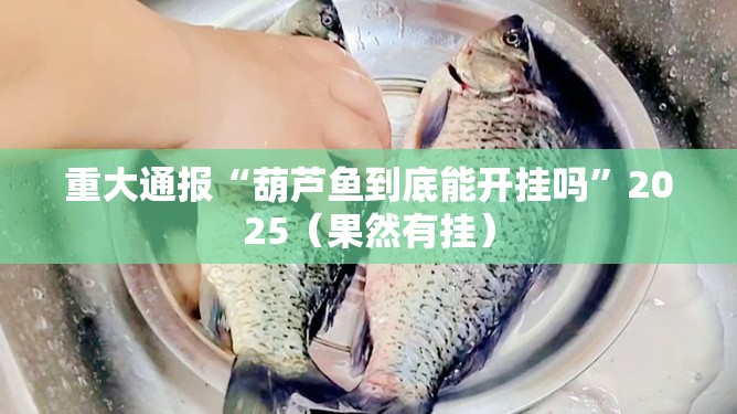 今日重大通报“衡阳丫丫竞技是否有挂”(原来确实是有挂)