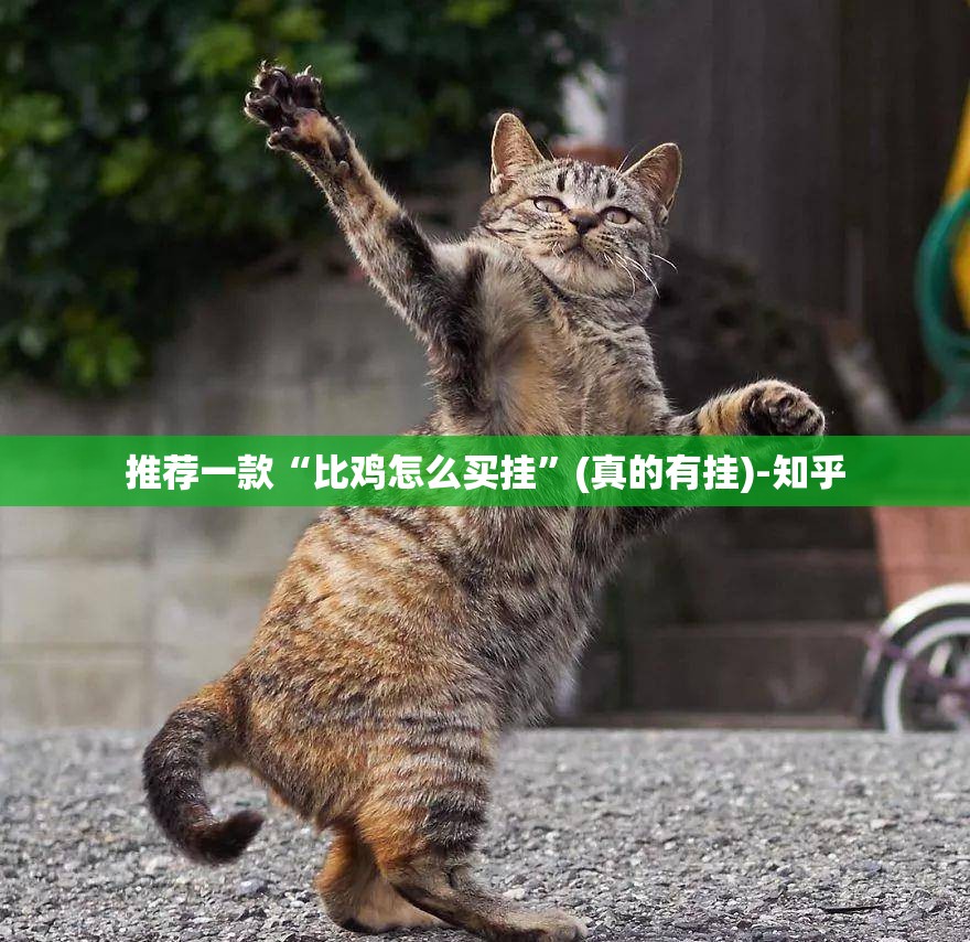 重磅.来袭“中至丰城麻将真的确实有挂其实有挂”(确实有挂)