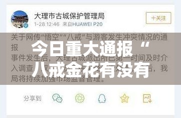 今日重大通报“八戒金花有没有辅助 ”2025（果然有挂）