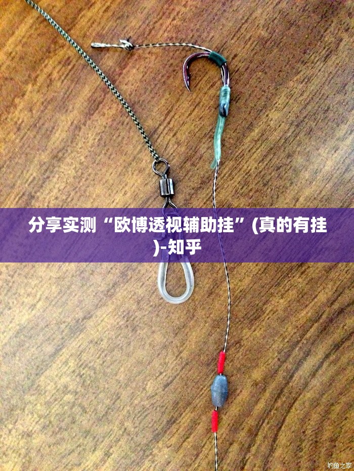分享实测“欧博透视辅助挂”(真的有挂)-知乎